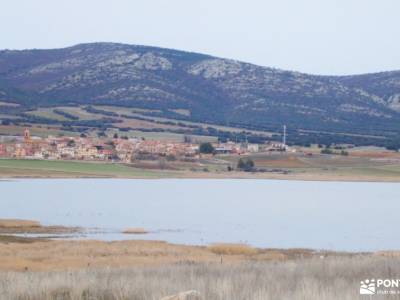 Daroca Salvaje_Gallocanta-Pinsapar de Orcajo; parque natural de sierra mágina parque alto tajo el hu